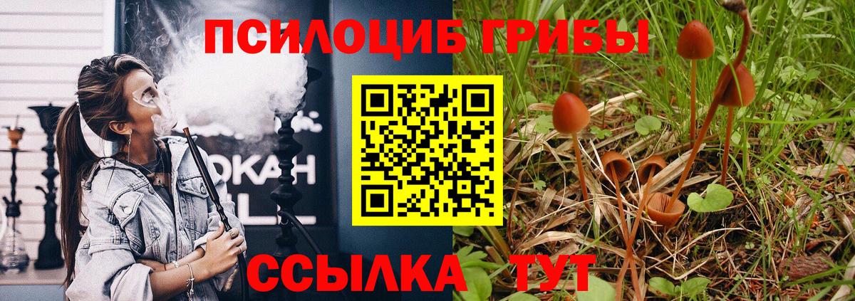 Минусинск  Псилоцибиновые грибы Magic Shrooms  Вход с VPN 